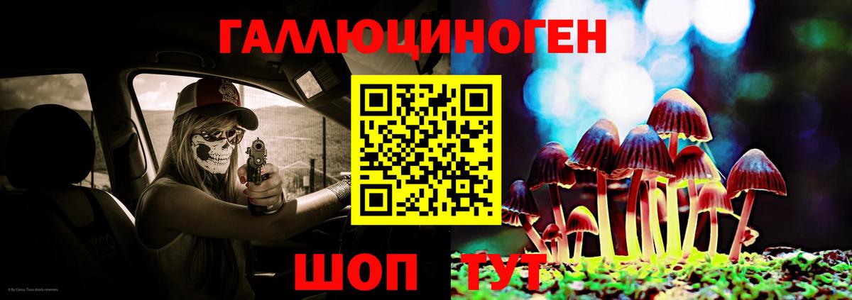 Кизляр  Псилоцибиновые грибы Cubensis  Вход с VPN 